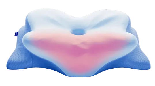 Derila Ergo Official website